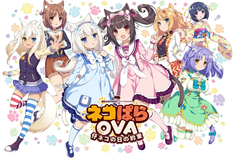 小猫之日的约定