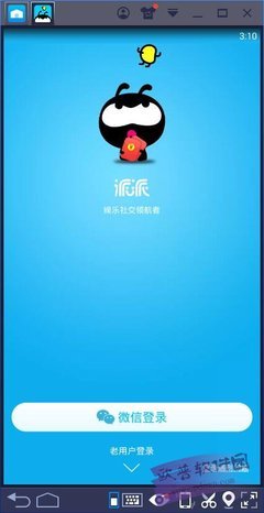 派派