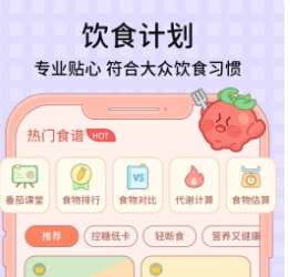 番茄轻闪